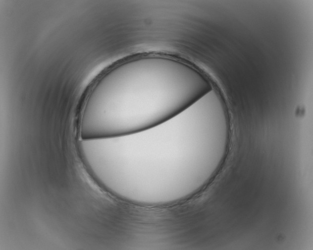X0000113960983200909251022