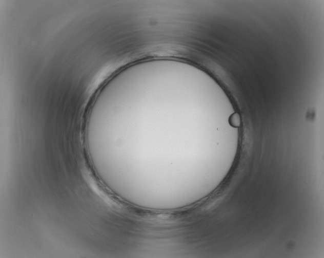 X0000113960986200909251022
