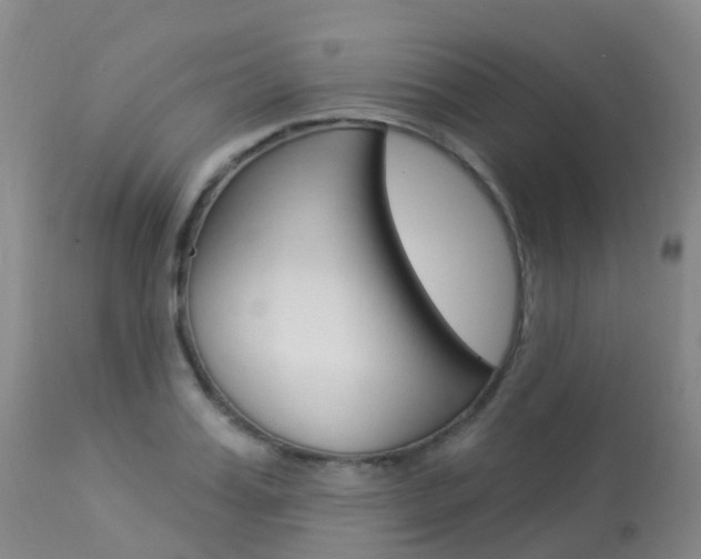 X0000113960987200909251022