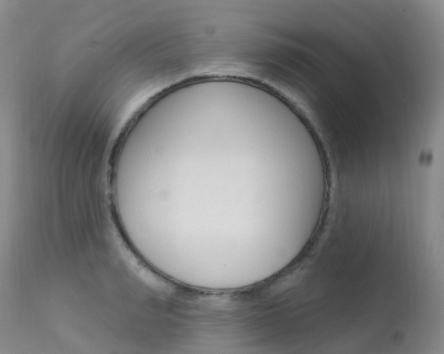 X0000113960990200909251022