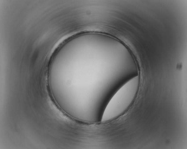 X0000113960992200909251022