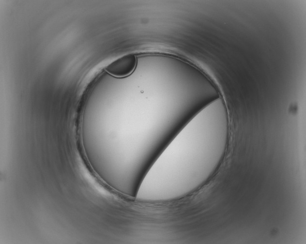 X0000113960995200909251022