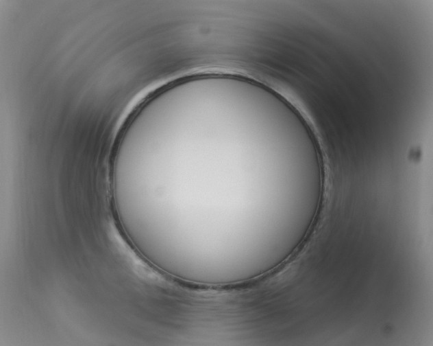 X0000113960996200909251022