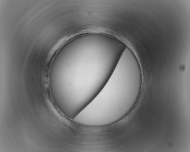 X0000113960997200909251022
