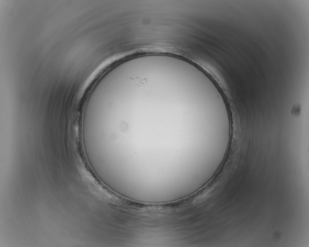 X0000113961000200909251022