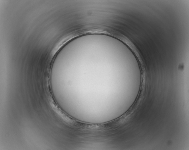 X0000113961002200909251022