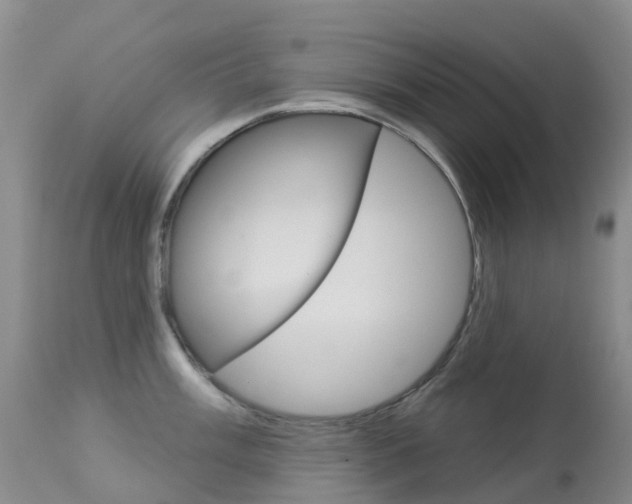 X0000113961003200909251022