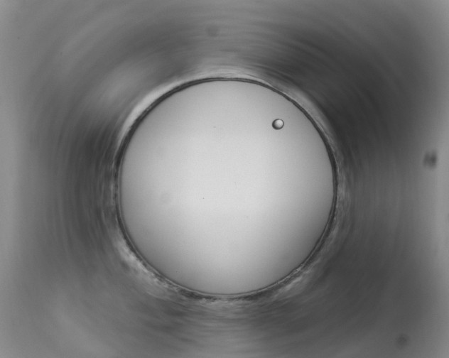 X0000113961004200909251022