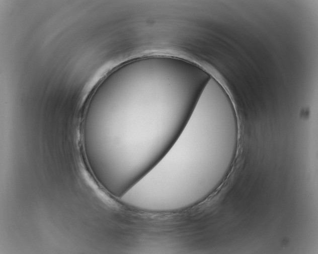 X0000113961005200909251022