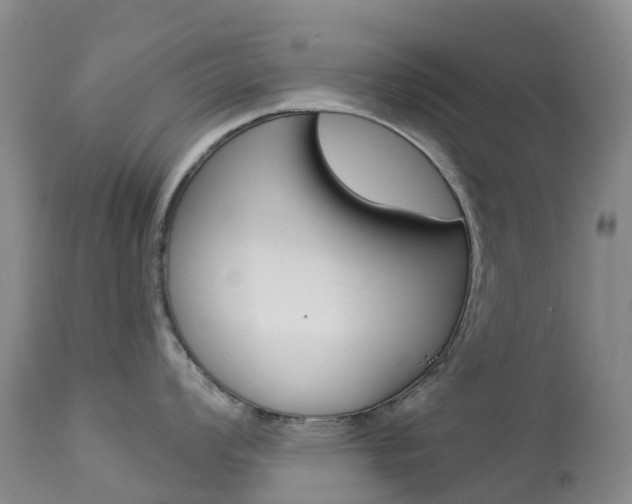 X0000113961008200909251022