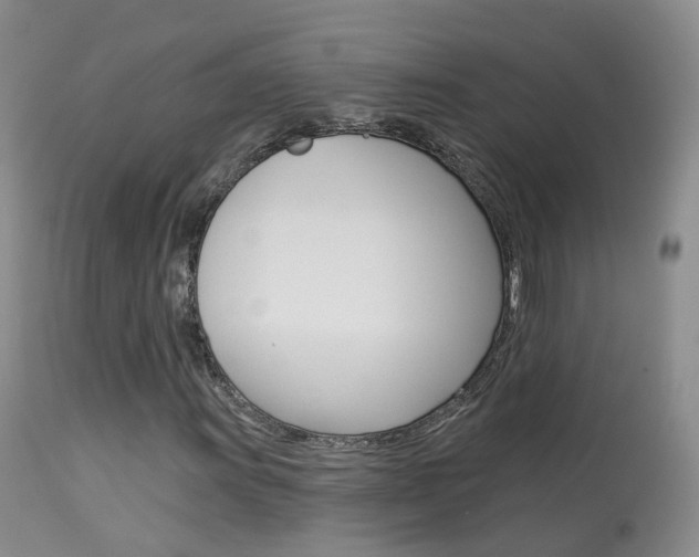 X0000113961011200909251021