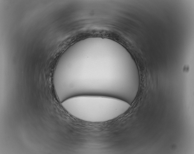 X0000113961013200909251021
