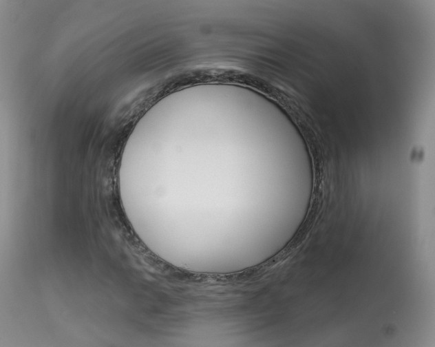 X0000113961014200909251021