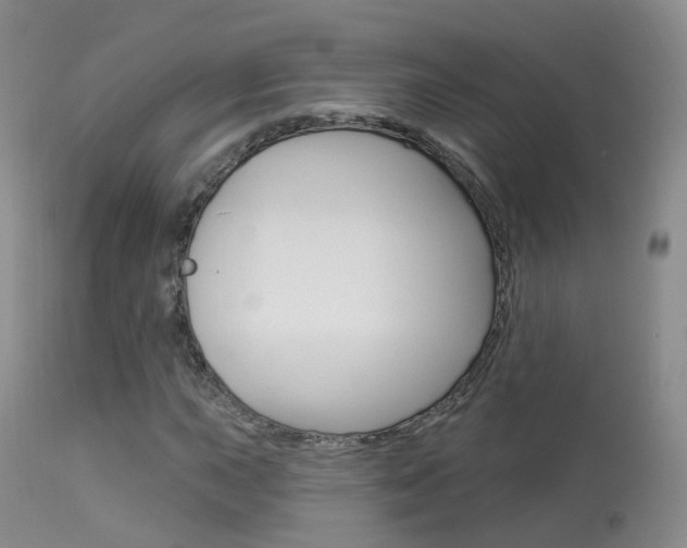X0000113961015200909251021