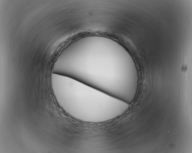 X0000113961016200909251021