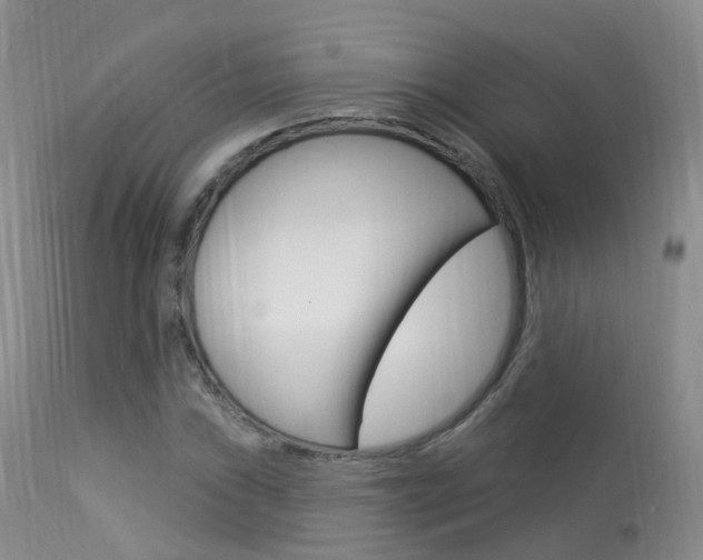 X0000113961019200909251021