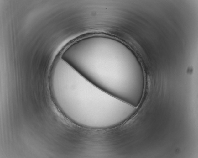 X0000113961020200909251021