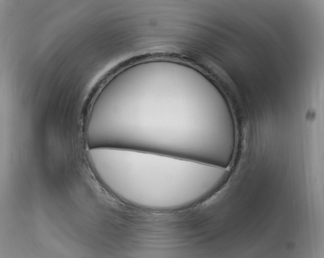 X0000113961021200909251021