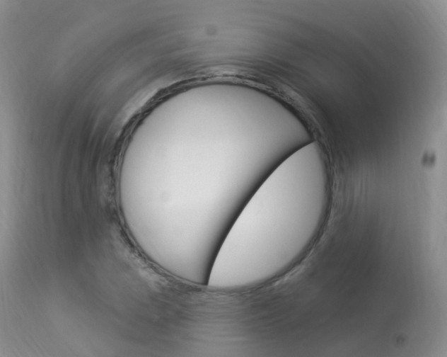 X0000113961023200909251022