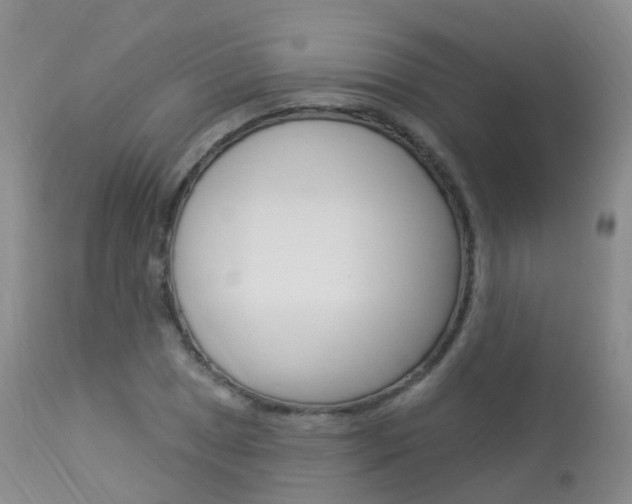 X0000113961025200909251022