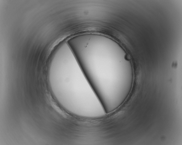 X0000113961026200909251022