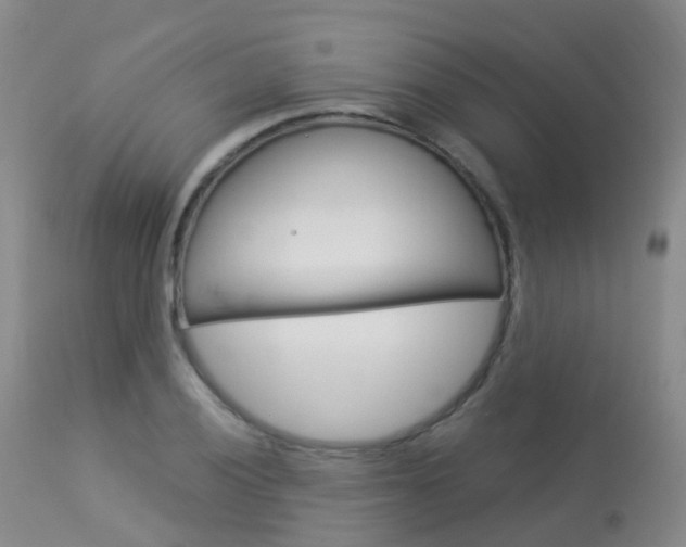 X0000113961028200909251022