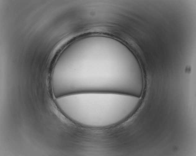 X0000113961029200909251022
