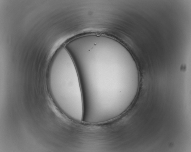 X0000113961030200909251022