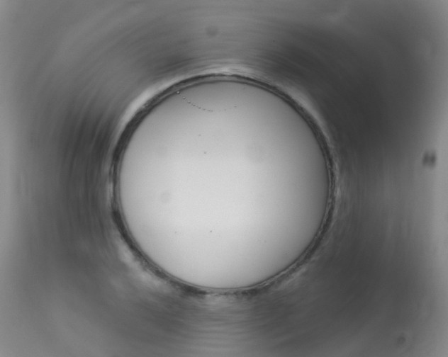 X0000113961032200909251022