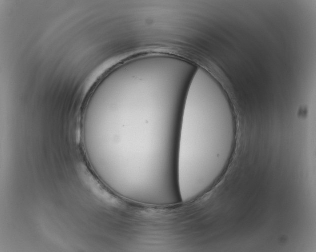X0000113961036200909251022
