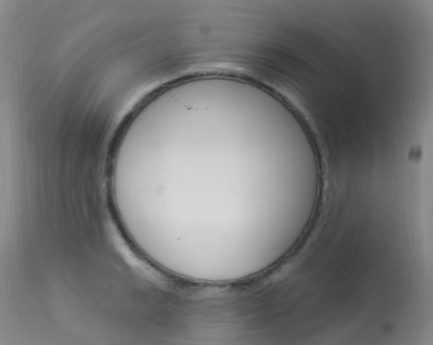 X0000113961038200909251022