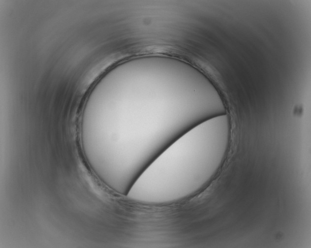 X0000113961039200909251022
