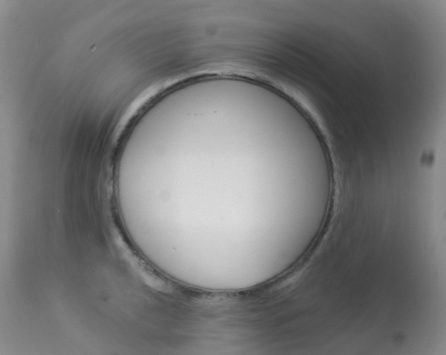 X0000113961040200909251022