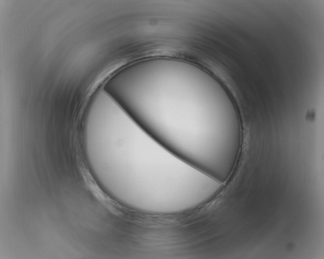 X0000113961042200909251022