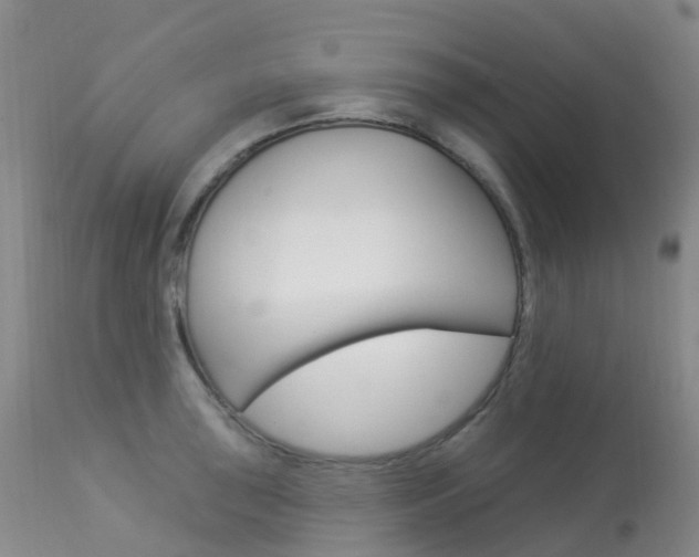 X0000113961043200909251022