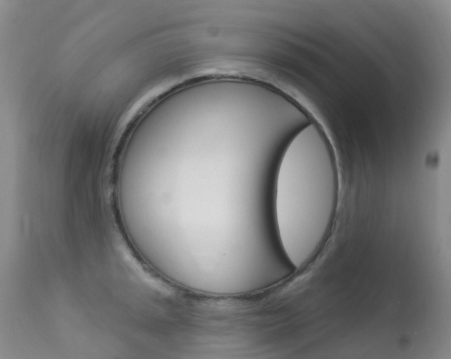 X0000113961045200909251022