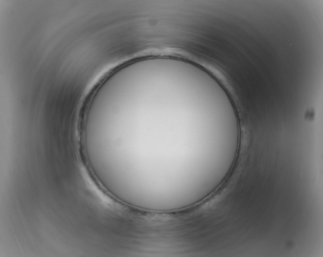 X0000113961046200909251022
