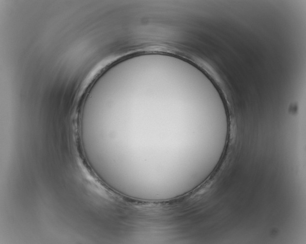 X0000113961048200909251022