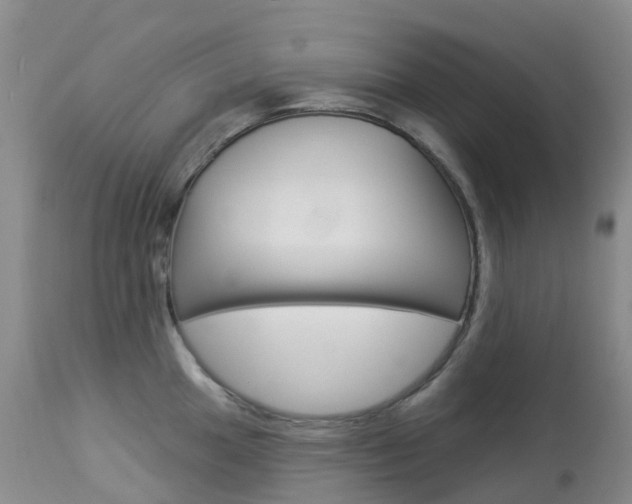 X0000113961049200909251022