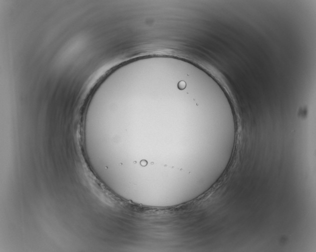 X0000113961051200909251022