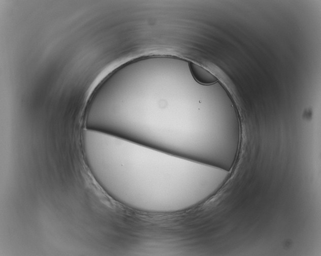 X0000113961052200909251022