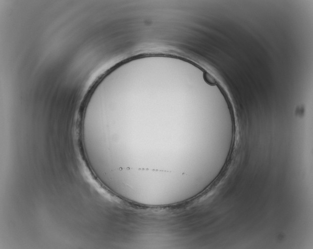 X0000113961053200909251022