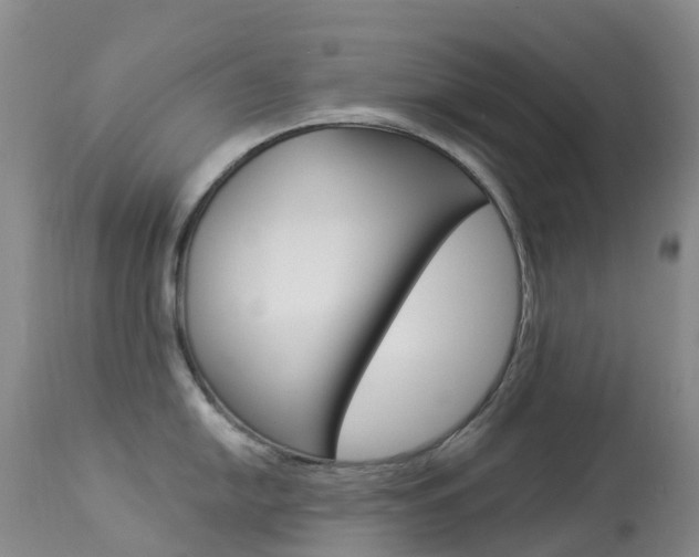 X0000113961054200909251022