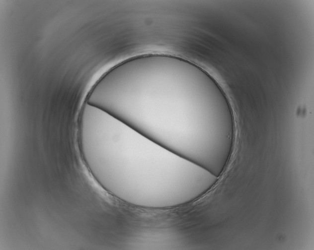 X0000113961056200909251022