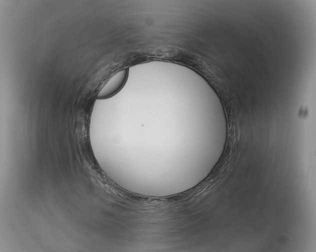 X0000113961058200909251021