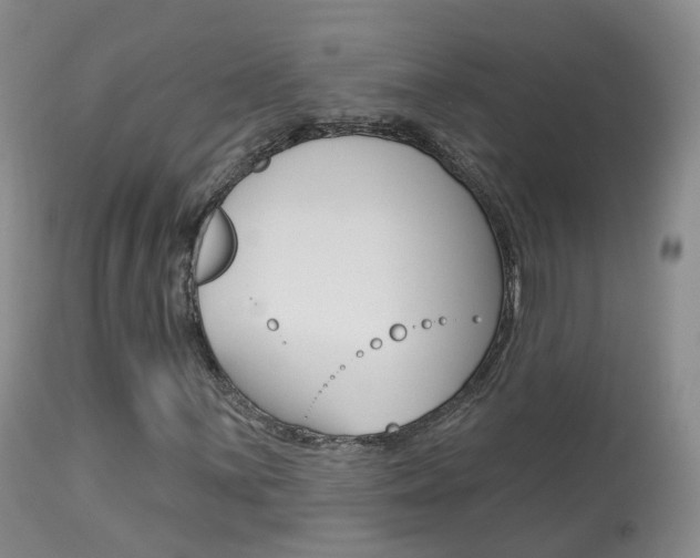 X0000113961059200909251021