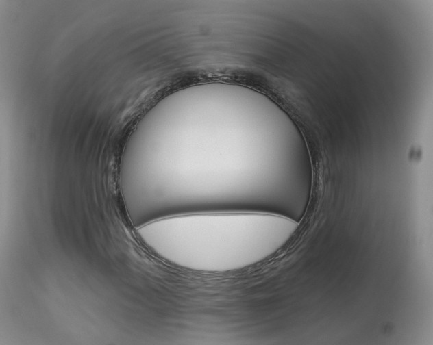 X0000113961060200909251021