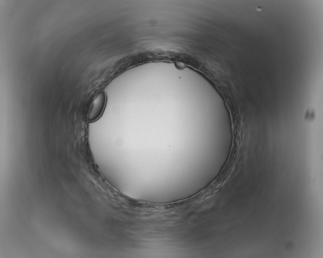 X0000113961061200909251021