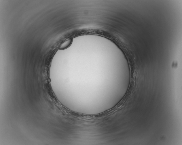 X0000113961062200909251021
