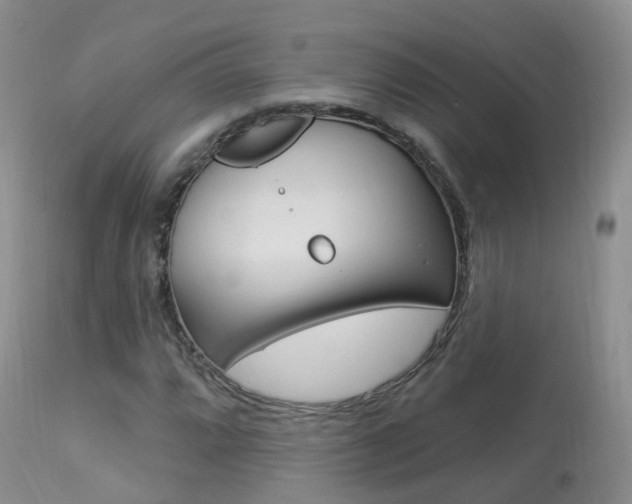 X0000113961064200909251021